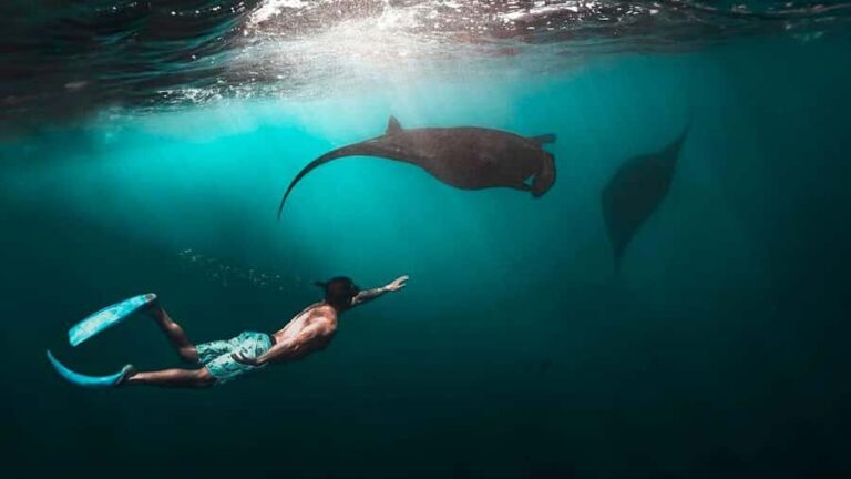 Private Snorkeling in Nusa Penida - What Makes This Snorkeling Tour Special?