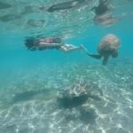 Private Snorkeling Tour GoPro Footage Costumize Tour - The Itinerary Breakdown: What to Expect