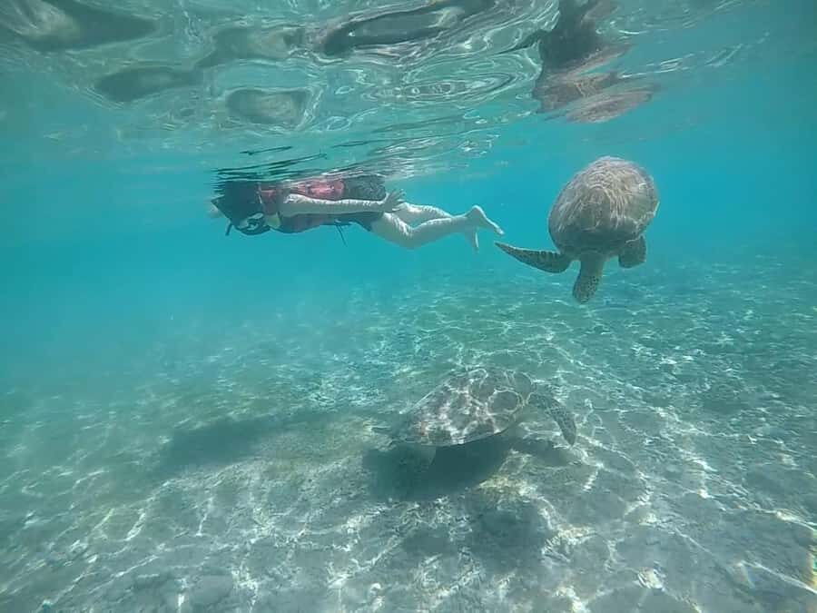 Private Snorkeling Tour GoPro Footage Costumize Tour - The Itinerary Breakdown: What to Expect