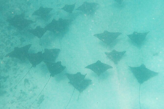 Private Snorkeling Trip on a Polynesian Outrigger - An In-Depth Look at the Private Snorkeling Trip