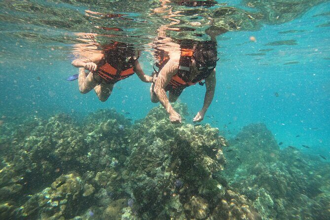 Private Snorkeling Trip Route A by Long Tail Boat - In-Depth Itinerary Breakdown