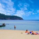 Private Speedboat Koh Tan & Pig Island Snorkeling from Samui - Why Choose This Tour?