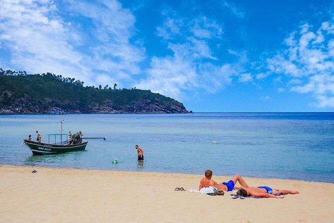 Private Speedboat Koh Tan & Pig Island Snorkeling from Samui - Why Choose This Tour?