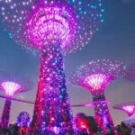 Private Starry Night Singapore Tour and Roundtrip Transfers - Who Should Consider This Tour?
