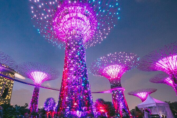 Private Starry Night Singapore Tour and Roundtrip Transfers - Who Should Consider This Tour?