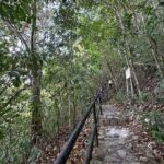 Private Tabon Cave Day Tour from Puerto Princesa City - Who Is This Tour Best For?