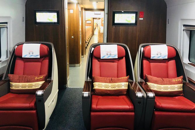 Private Tianjin Port Departure Transfer from Beijing by Bullet Train Experience - The Guides and Drivers