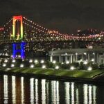 Private Tokyo Night Tour - Practical Details