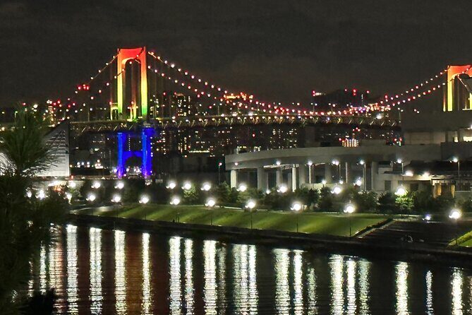 Private Tokyo Night Tour - Practical Details