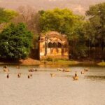 Private Tour: 2-Day Ranthambore National Park from Jaipur - The Value Proposition: Is It Worth It?