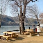 Private Tour at Nami Island and Elysian Ski Resort - Why This Tour Offers Good Value
