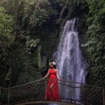 Private Tour Authentic Bali Experience in Ubud - The Sum Up