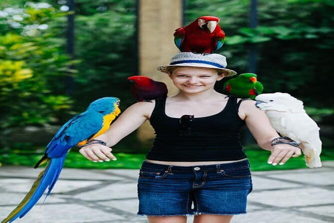 Private Tour Bali Bird Park And Ubud Tour - Who Should Book This Tour?