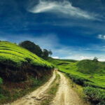 Private Tour : Cameron Highland Day Trip from Kuala Lumpur - Frequently Asked Questions