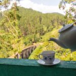 Private Tour Ceylon Tea Experience from Colombo - What Travelers Say & Practical Insights