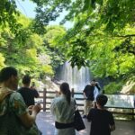 Private Tour Cheonjeyeon Falls & Spirited Garden in Jeju Island - Why This Tour Delivers Value and Authenticity