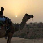 Private Tour :Desert Safari & Bishnoi Village SafarI - Who Would Love This Tour?