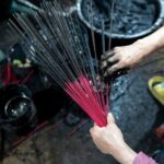 Private Tour Discover Incense Village, Hoa Lu & Tam Cocs Beauty - Scenic Boat Ride at Tam Coc