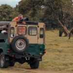Private Tour from Mirissa to Ella with Udawalawe Safari - Practical Insights and Tips