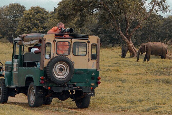 Private Tour from Mirissa to Ella with Udawalawe Safari - Practical Insights and Tips