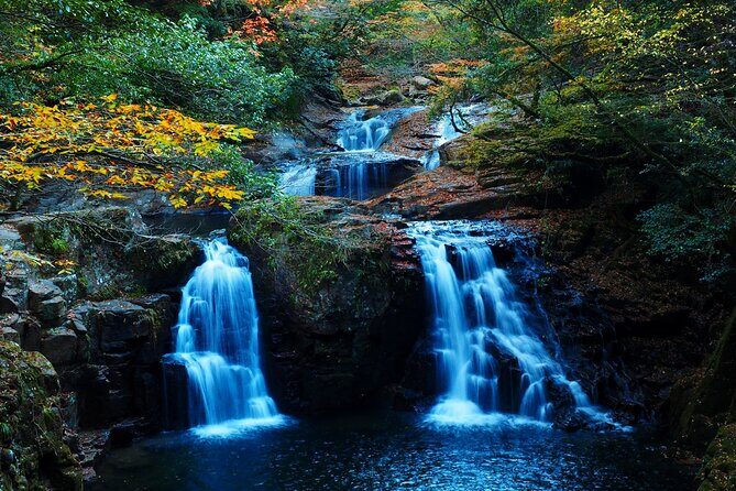 Private Tour From Nagoya: Akame 48 Falls & Soni Highlands Hike - Final Thoughts: Is This Tour Right for You?