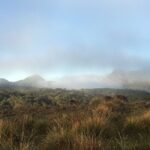 Private Tour in Horton Plains National Park & World's End Tour with Pick up - Exploring the Horton Plains and Worlds End Tour in Detail