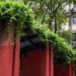 Private Tour in Kowloon's Shadows Hongkong Unveiling Darkside - Why This Tour Offers Real Value