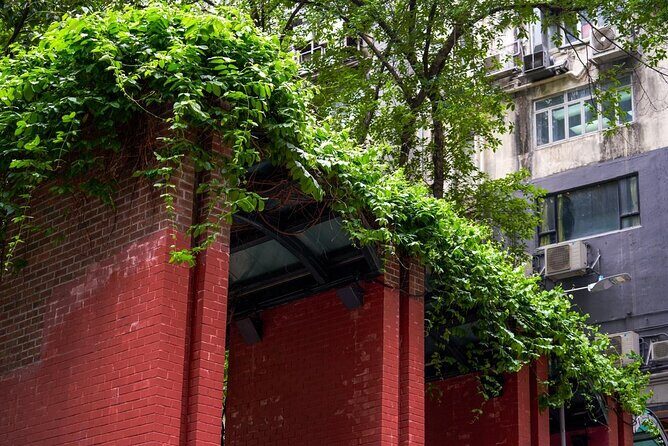 Private Tour in Kowloon's Shadows Hongkong Unveiling Darkside - Why This Tour Offers Real Value