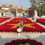 Private Tour in Quang Phu Cau to Tam Coc and Ninh Binh - Journeying to Ninh Binh and the Serenity of Tam Coc