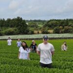 Private Tour in West Jeju Island with Transfer - Discovering West Jeju: A Closer Look at the Itinerary