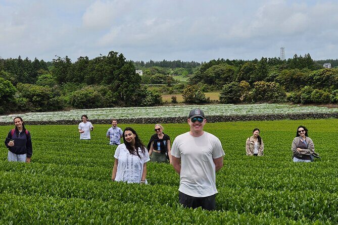 Private Tour in West Jeju Island with Transfer - Discovering West Jeju: A Closer Look at the Itinerary