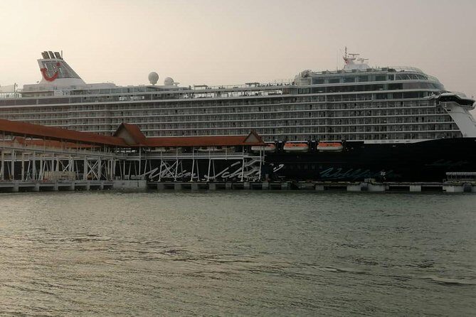 Private Tour : Kuala Lumpur Excursion with Petronas Entry Tickets - Port Klang - Practical Details and What You Can Expect