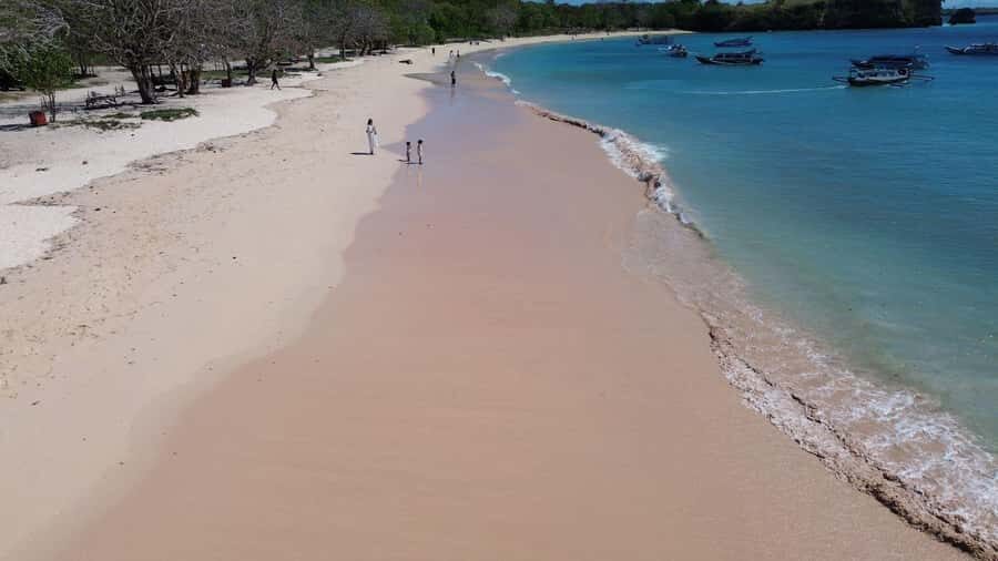 Private Tour Lombok Pink Beach and Snorkeling