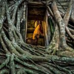 Private Tour Maeklong Railway,Floating Market, Wat Bangkung - Exploring the Maeklong Railway & Market