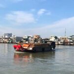 Private Tour Mekong Delta Shore Excursion from Cruise Port - Who Will Love This Tour?