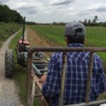 Private Tour : Must See Sites by Public Transportation - A Deep Dive Into the Itinerary: What You Can Expect