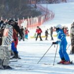 [Private Tour] Nami Island & Ski (Ski Lesson, Equip & Clothing Included) - A Closer Look at the Itinerary