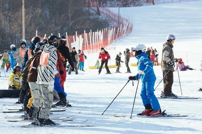 [Private Tour] Nami Island & Ski (Ski Lesson, Equip & Clothing Included) - A Closer Look at the Itinerary