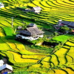 Private Tour Nghia Lo Mu Cang Chai Sapa Bac Ha 5-day from Hanoi - Who Will Love This Tour?