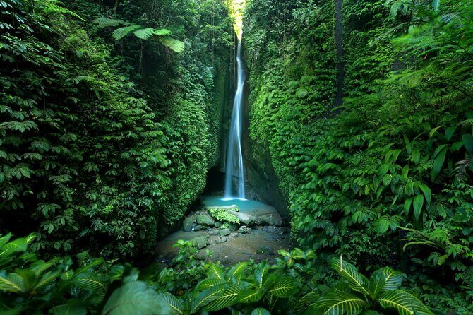 Private Tour of Balis Temples, Jungles & Hidden Gems - Practical Details to Keep in Mind