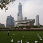 Private Tour of Shanghai Museum the Bund Yu Garden and Cruise on Huangpu River - Who Will Love This Tour?