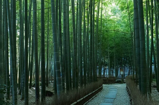 Private Tour of the Ancient Capital Kamakura from Tokyo - Practical Tips for Making the Most of This Tour