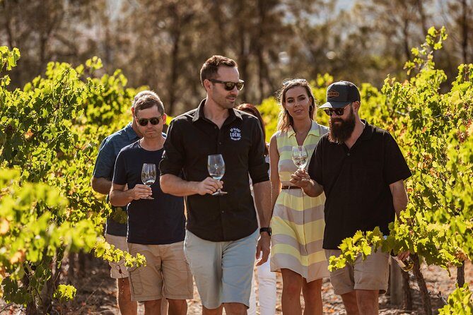 Private Tour: Premium Swan Valley Wine Tour from Perth