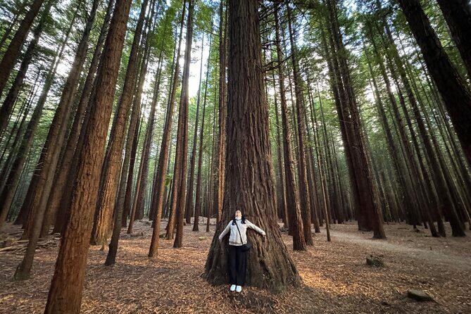 Private Tour: Rotorua Adventure, Kiwi Hatchery & Mori Culture - Practical Details and Value