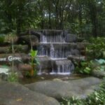 Private Tour: Singapore Nature And Adventure Tour - Key Points