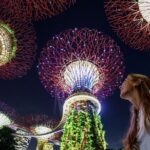 Private Tour: Singapore River Cruise & 2 Top-visit Light shows - A Deep Dive into the Experience