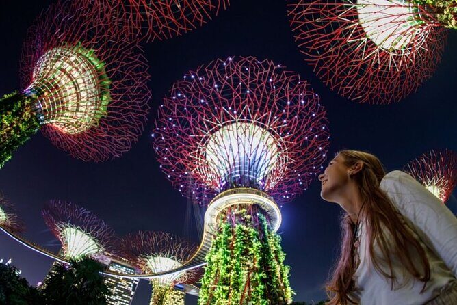 Private Tour: Singapore River Cruise & 2 Top-visit Light shows - A Deep Dive into the Experience