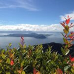 Private Tour: Tagaytay Midlands & Taal Volcano Boat Ride - A Closer Look at the Tour Itinerary and Highlights