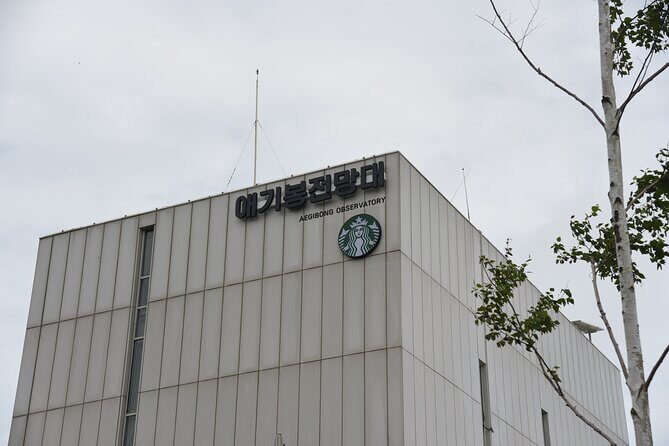 Private Tour to DMZ Outpost & UNESCO Royal Tombs - The Value Proposition