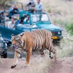 Private Tour to Ranthambore Tiger Reserve from Jaipur - Frequently Asked Questions